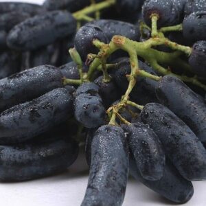 Black Grapes